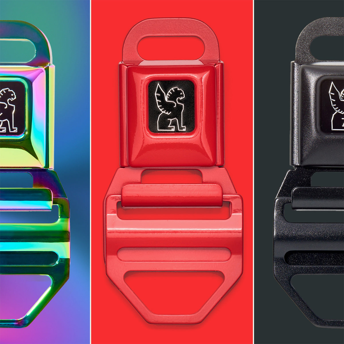 Buckles to show the swap-ability